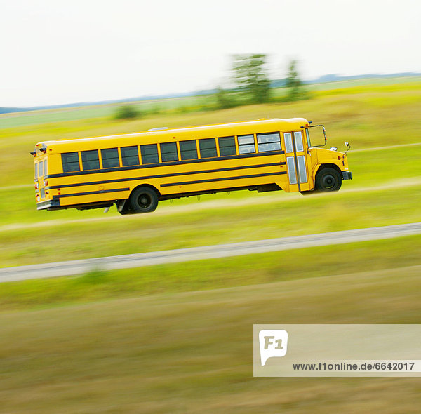 Bewegung  Omnibus  Schule