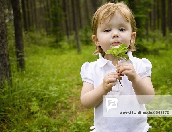 A Little Girl Holding A Wild Flower