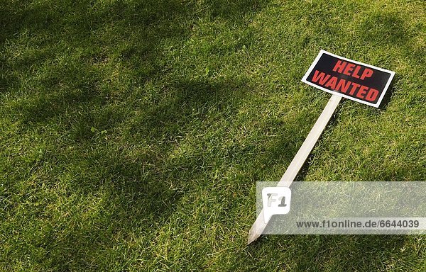 liegend  liegen  liegt  liegendes  liegender  liegende  daliegen  Zeichen  Wunsch  Gras  Hilfe  Signal
