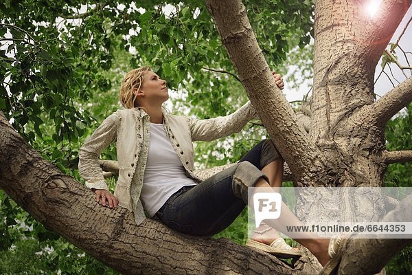 Woman Sitting On Tree Branch