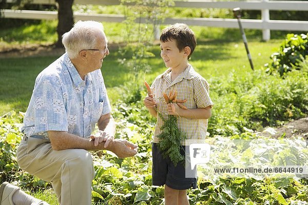 Grandfather And Grandson In The Garden