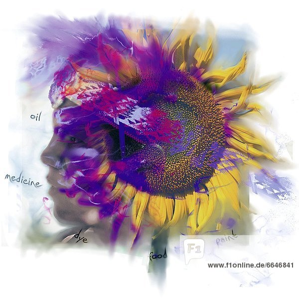Sunflower Composite