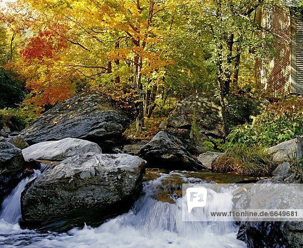 Fluss Herbst