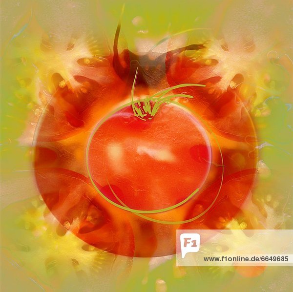 Illustration  Tomate