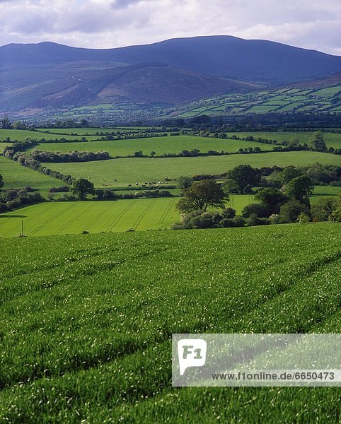 Landschaft  Irland