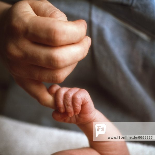 Neugeborenes  neugeboren  Neugeborene  halten  Erwachsener