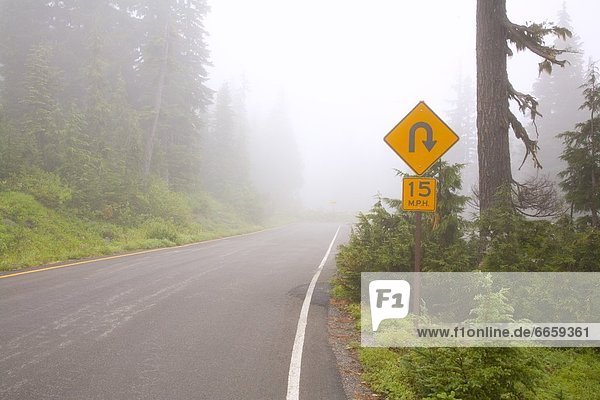 Foggy Road  Mount Rainier National Park  Washington  Usa