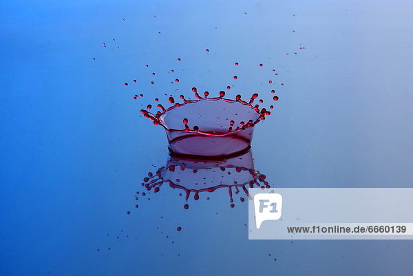 Mandatory Credit: Photo by Solent News / Rex Features (1339558f) A droplet of milk hitting water Splash These extraordinary images have certainly caused a splash - they capture the precise moment a tiny droplet of milk hits water. Photographer Ashley Sykes spends hours firing the coloured droplets at the water from a bottle suspended 12 inches above