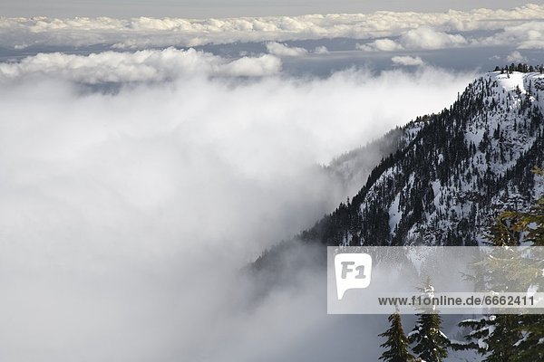 Fog  Mount Washington  Vancouver Island  British Columbia