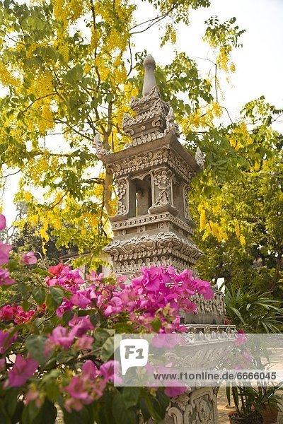Südostasien  Chiang Mai  Thailand