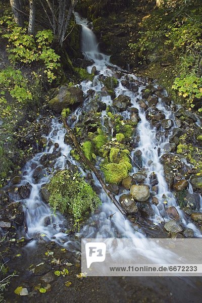 Felsbrocken  Wasser  über  fließen  Bach