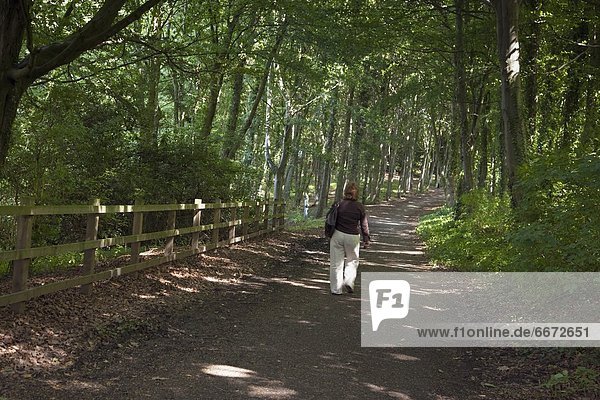 Path Through Alnwick Garden  Northumberland  England