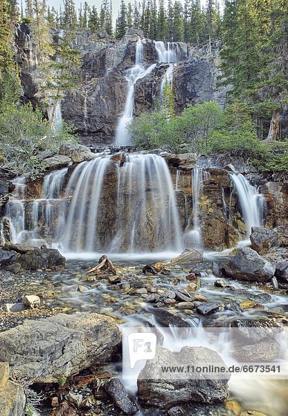 Tangle Falls  Jasper National Park  Alberta  Canada