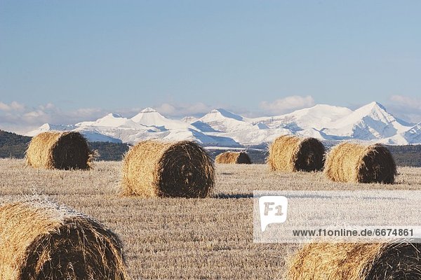 Hay Bales And Mountains