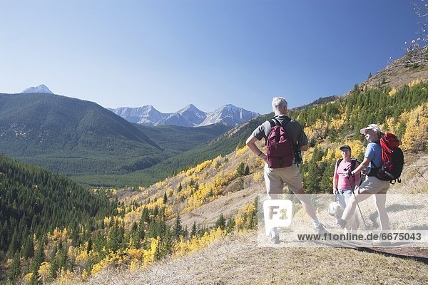Three Hikers On A Mountain Trail