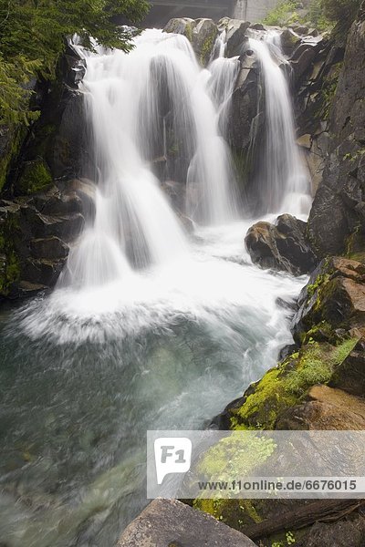 Vereinigte Staaten von Amerika USA Mount Rainier Nationalpark