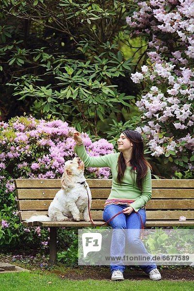 A Girl Giving Her Dog A Treat While Sitting On A Bench In The Park