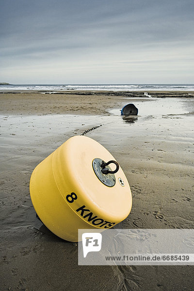Buoy on Beach