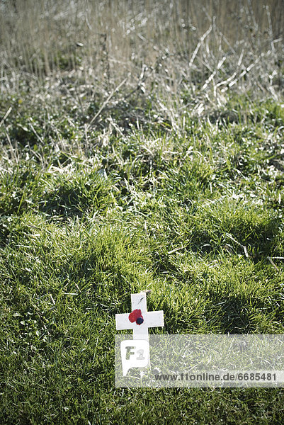 Memorial Cross