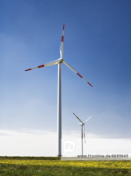 Wind Turbines in Field