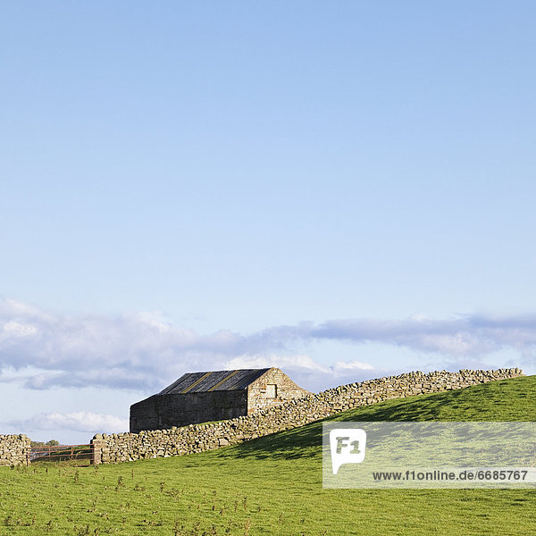 Barn and dry stone wall  Wensleydale  Yorkshire Dales National Park  England