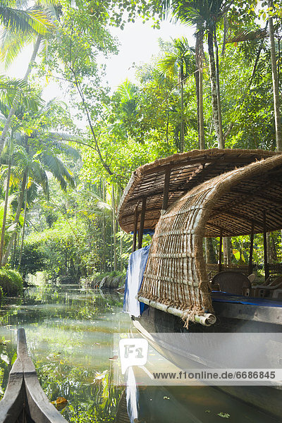 Boat in the Jungle