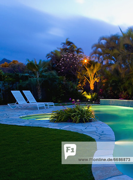 Tropical Backyard Pool at Night