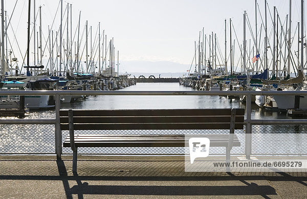 Marina Bench