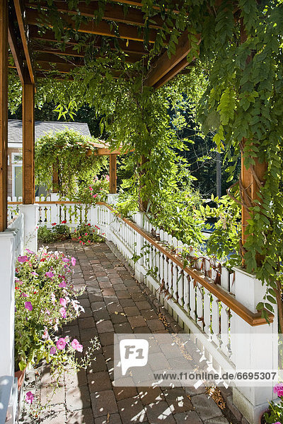 Plant-Covered Walkway