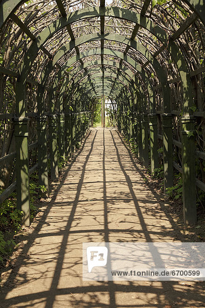 Korridor  Korridore  Flur  Flure  Brücke  lang  langes  langer  lange  Garten
