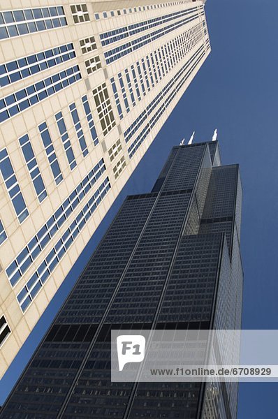 Vereinigte Staaten von Amerika  USA  Sears Tower  Chicago  Illinois