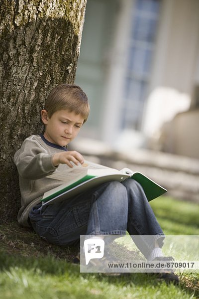 Young boy reading under a tree