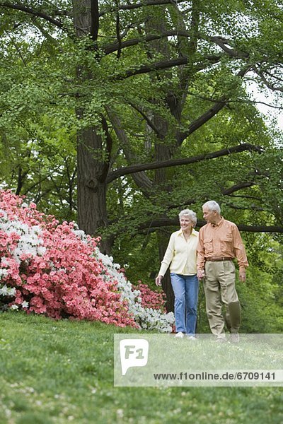 Außenaufnahme  Senior  Senioren  gehen  freie Natur
