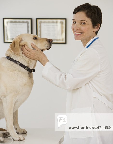 Hund  Tierarzt  Untersuchung