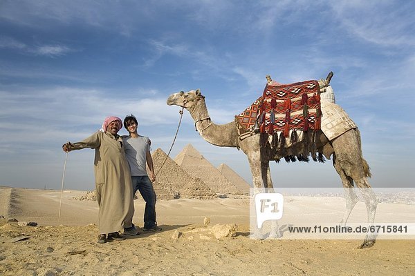 pyramidenförmig  Pyramide  Pyramiden  Mann  Wüste  Hintergrund  2  Kamel