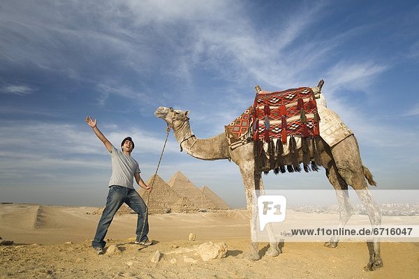 pyramidenförmig  Pyramide  Pyramiden  Mann  Hintergrund  Kamel