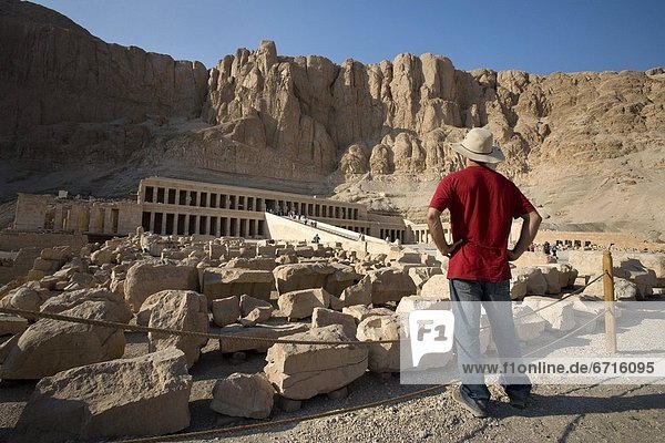 Man Looking At The Temple Of Hatshepsut