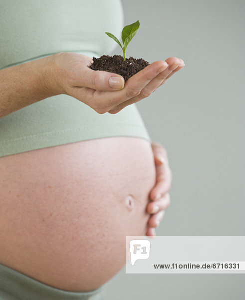 Pregnant woman holding soil and plant