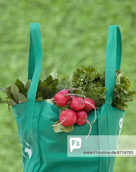 Tasche Lebensmittelladen Produktion Pflanze wiederverwendbar
