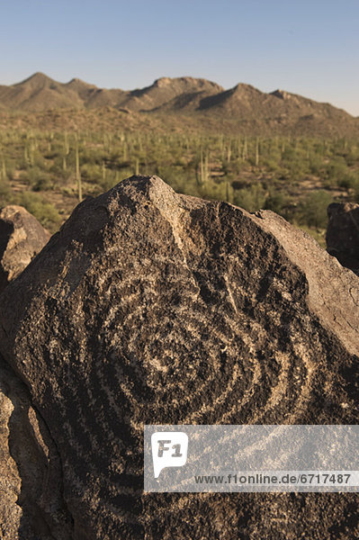 Arizona  Petroglyphe