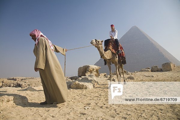 Young Woman Tourist Riding A Camel Lead By A Guide At The Pyramids Of Giza  Egypt