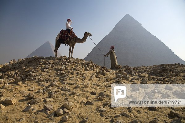 Young Woman Tourist On A Camel Led By A Guide At The Pyramids Of Giza  Egypt
