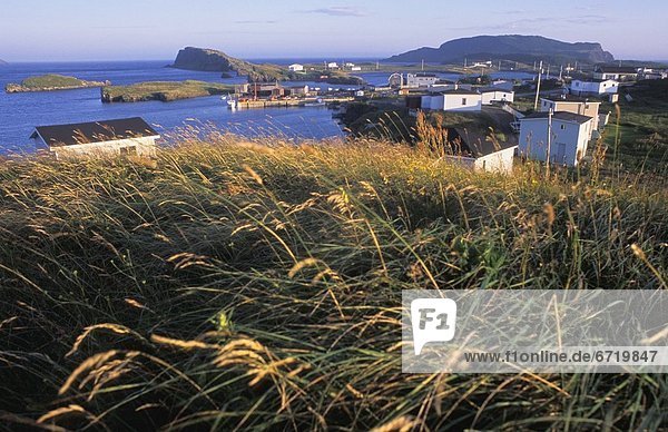 Seaside Fishing Village Sunset  Champney  Newfoundland  Canada