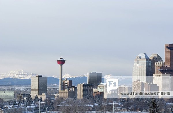 City Skyline With Mountain Backdrop  Calgary  Alberta  Canada