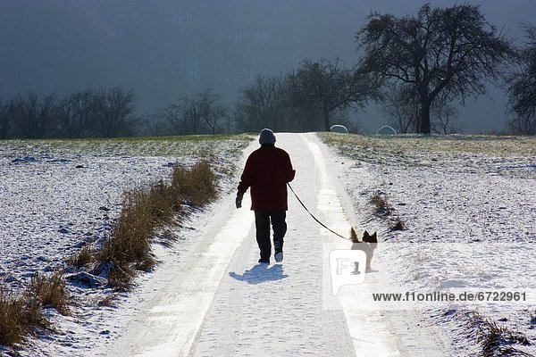 Winter  gehen  Mensch  Fernverkehrsstraße  Hund  Schnee