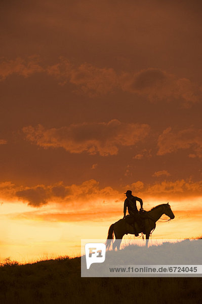 Horseback rider