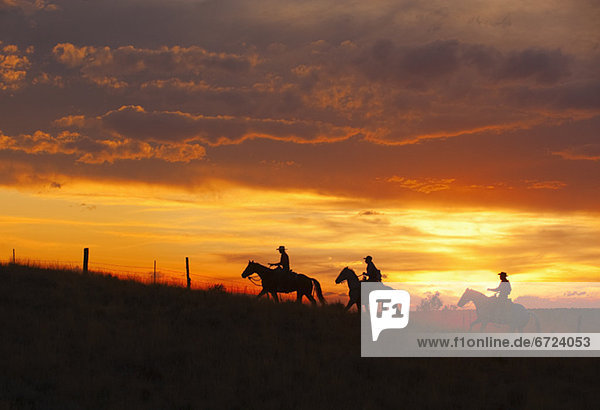 Horseback riders at sunset