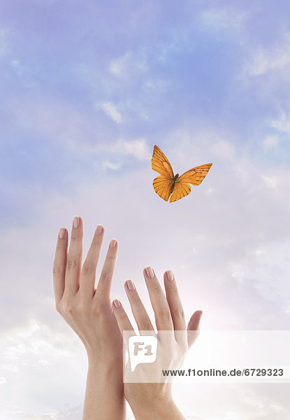 Close up of woman's hands and flying butterfly against blue sky