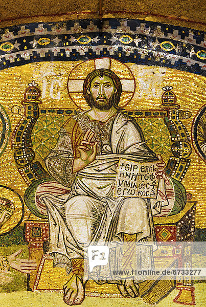Truthuhn  kniend  Jesus Christus  Istanbul  Löwe - Sternzeichen  Mosaik  Moschee  Türkei