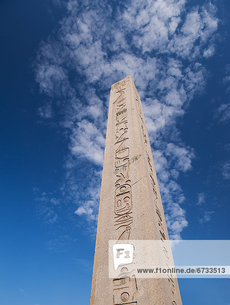 Truthuhn  Obelisk  Istanbul  Türkei